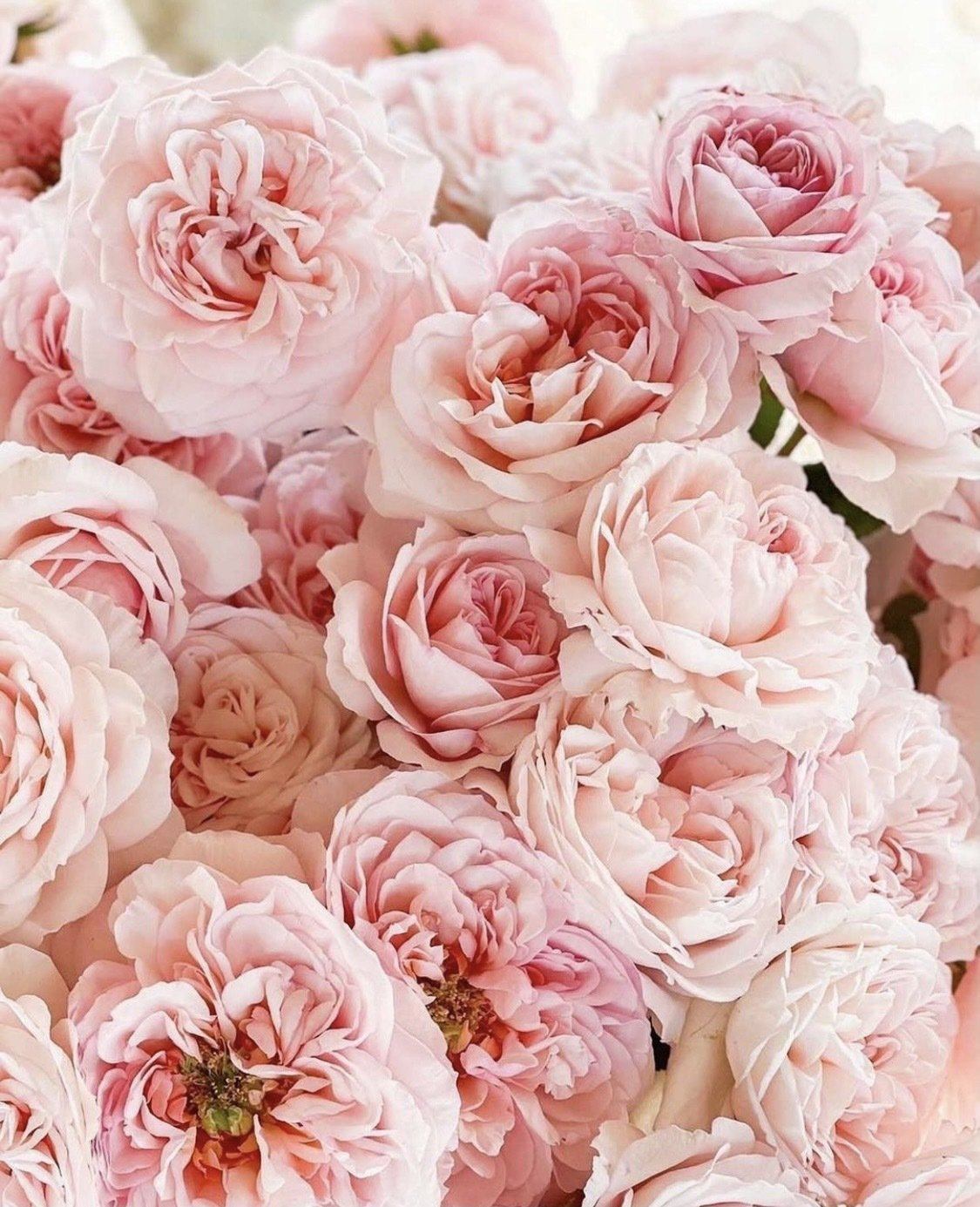 14 Self-Care Affirmations for Valentine's Day...