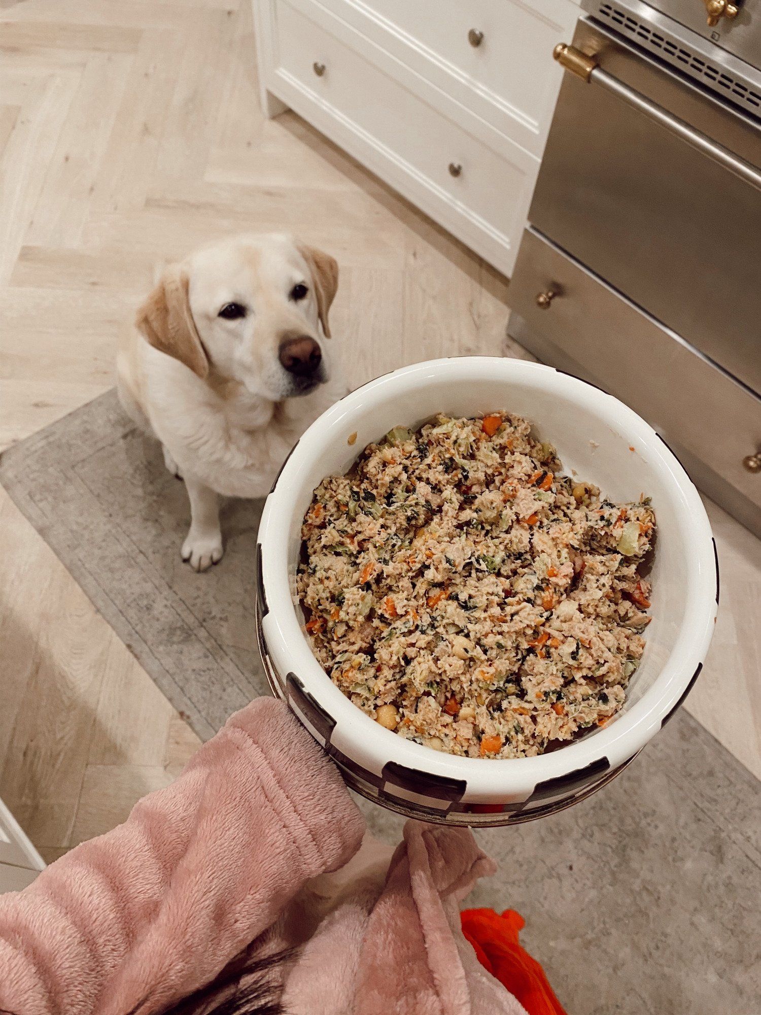 Dash's Favorite Food...