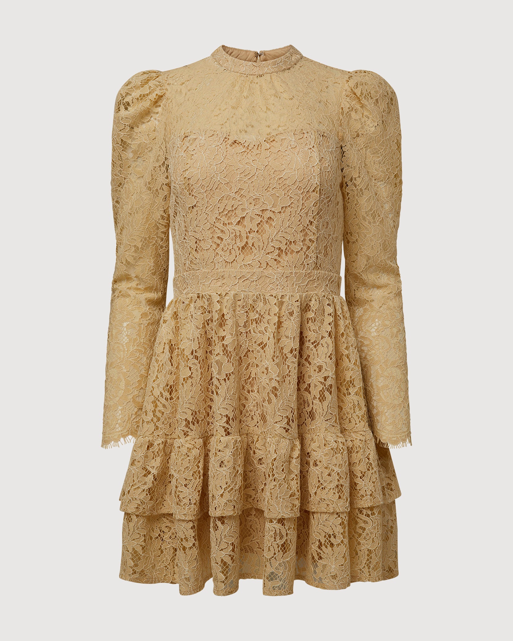 Metallic Lace Mini Dress Rachel Parcell Inc