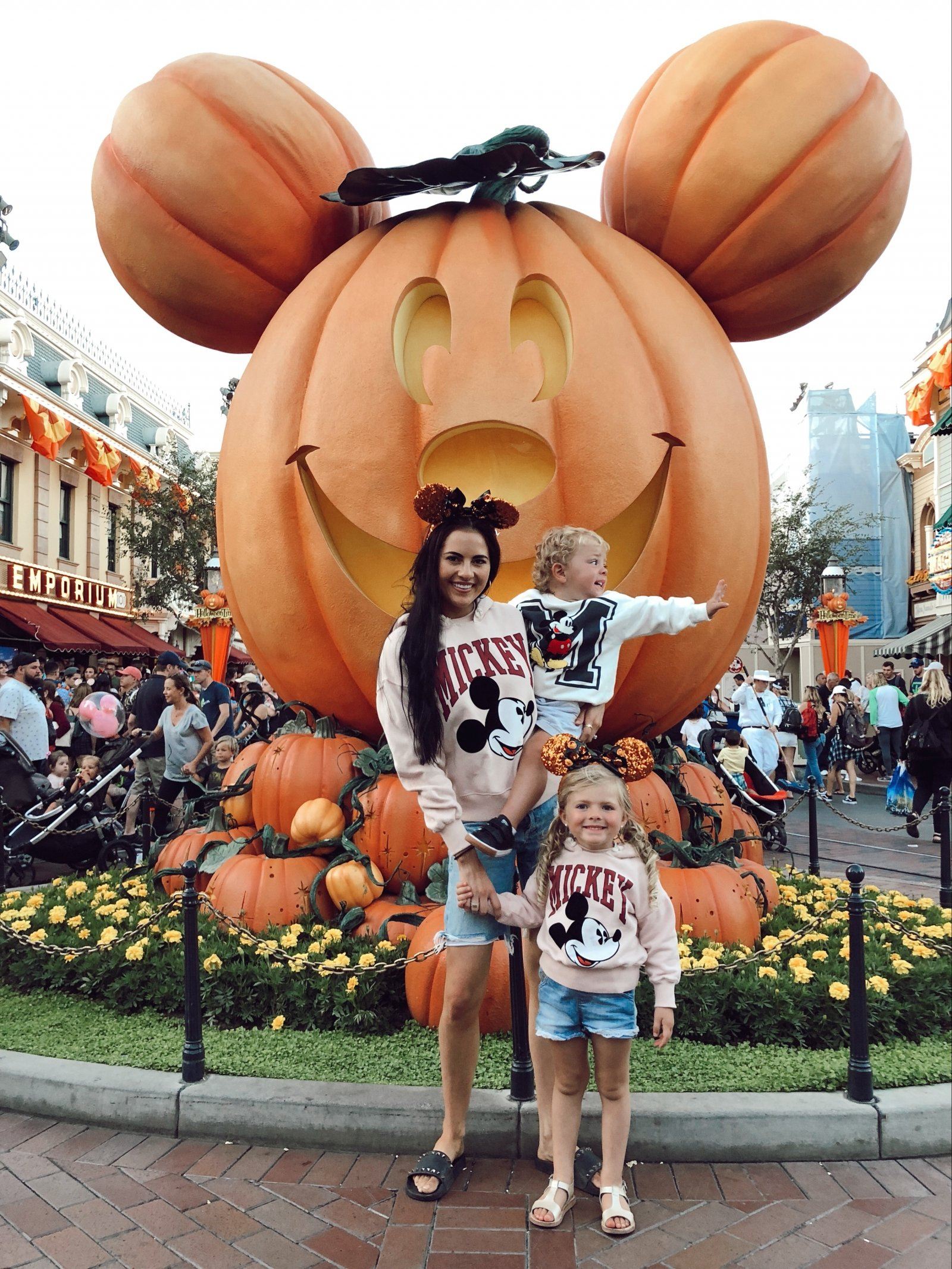 Disneyland Recap... – Rachel Parcell, Inc.